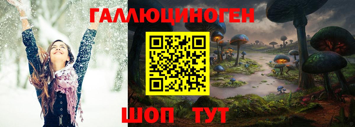 Псилоцибиновые грибы Cubensis  Вход с VPN  Азнакаево 